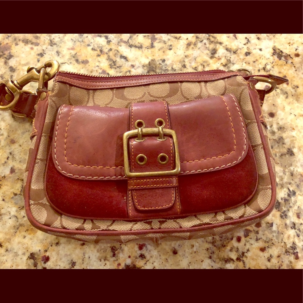 Fall season Coach purse